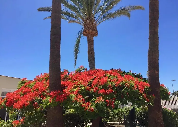 Granada * Playa del Ingles (Gran Canaria)