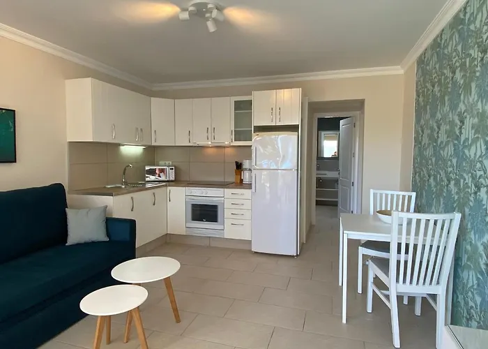 公寓 Granada 普拉亚戴尔雷安格莱斯