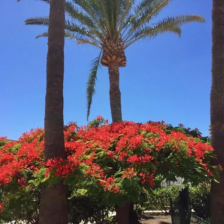 Granada * Плайя-дель-Інглес